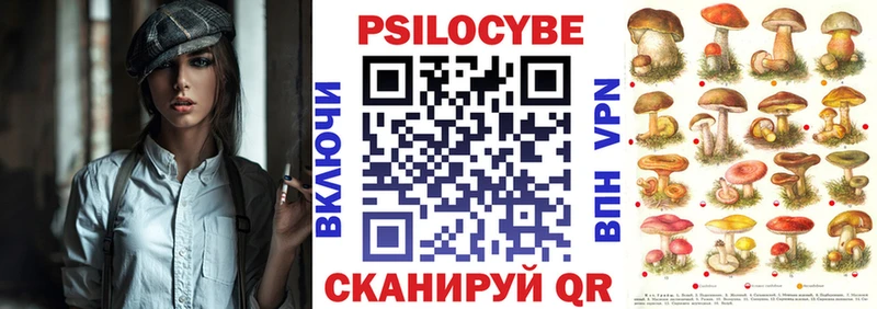 Псилоцибиновые грибы мухоморы  МЕГА   Сланцы  продажа наркотиков 